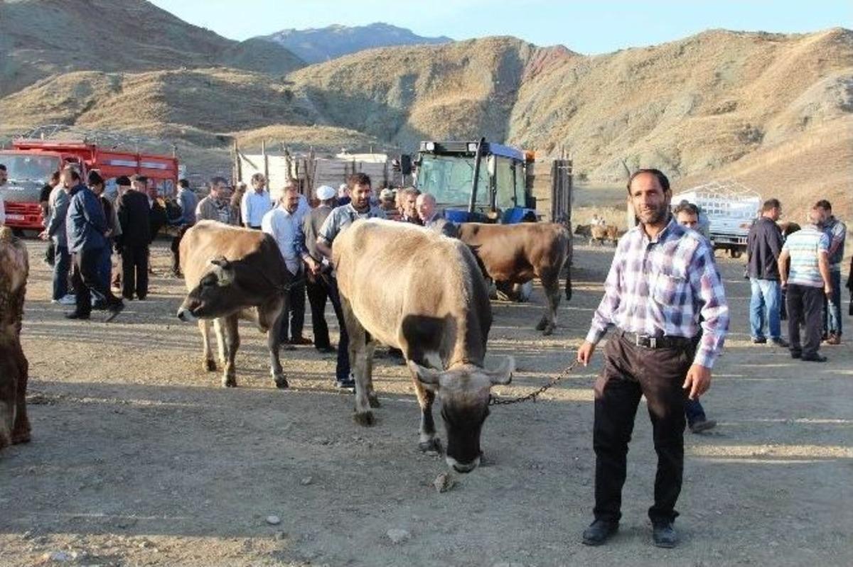 Kurbanlıklar Alana Pahalı Satana Ucuz