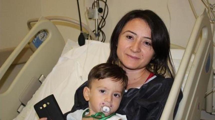 Tek Karaciğerden Iki Yeni Hayat