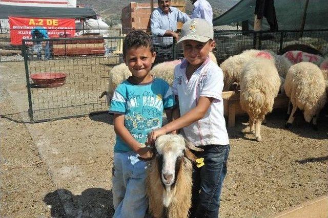 Kurban Pazarlarında Hem Vatandaşlar, Hemde Satıcılar Memnun