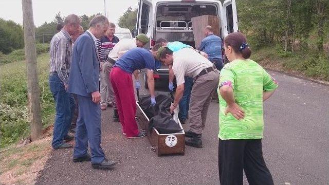 Motosiklet Elektrik Direğine &Ccedil;arptı: 1 &Ouml;l&uuml; 2