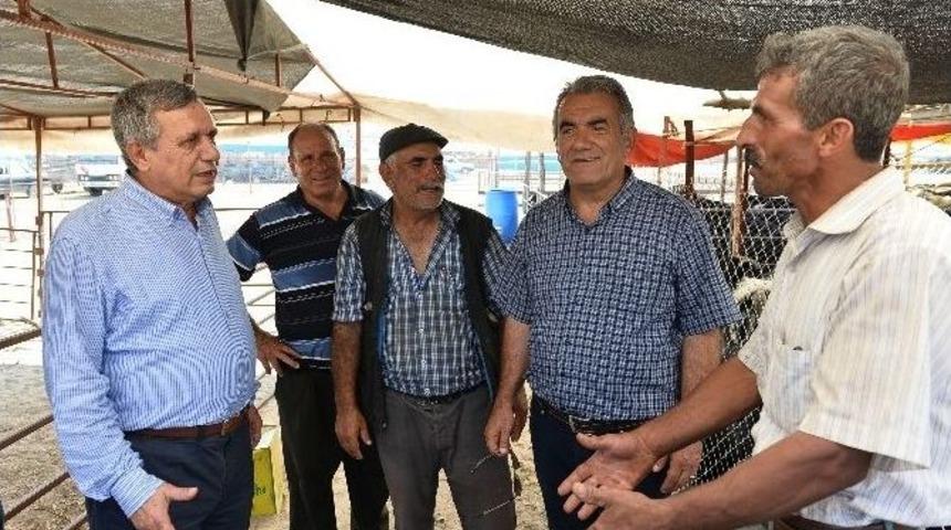 Muratpaşa Kurban Bayramı&rsquo;na Hazır