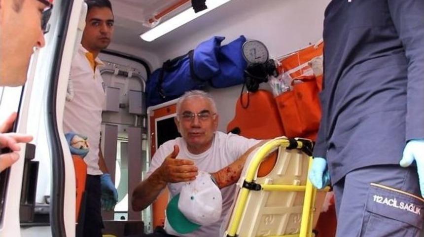 K&ouml;peğin Saldırısına Uğrayan Kaymakam Hafif Yaralandı