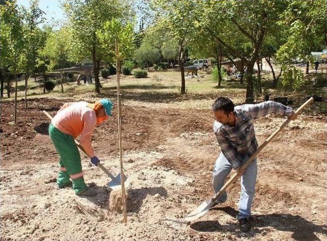 Jurassic Park 3 Ekim’de Açılıyor