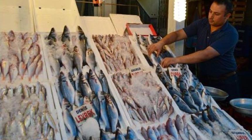 Mersin'de Balık Bereketi