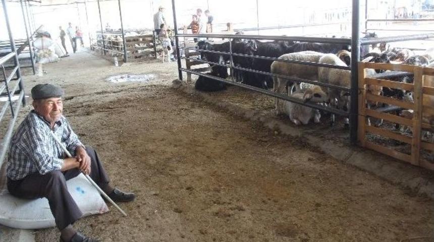 Aydın&rsquo;da Kurban Pazarı, M&uuml;şteri Bekliyor