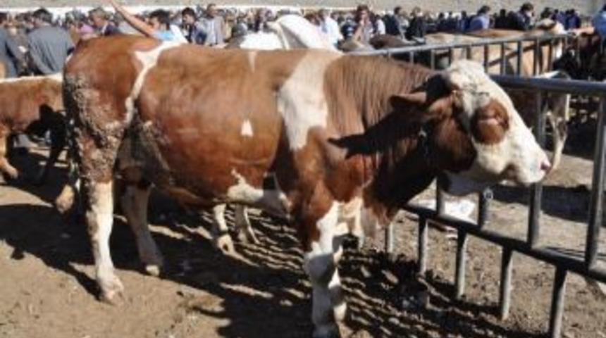 Erzurum Besicilikte 1&rsquo;inci Sırada