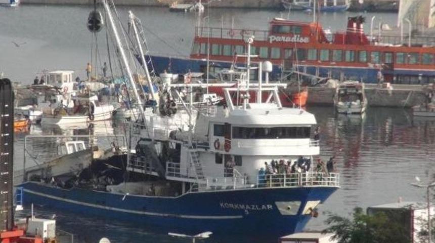 İki Tekne Bin 280 Kasa Avlayınca Hamsinin Kilosu 1 Lira 80 Kuruşa D&uuml;şt&uuml;