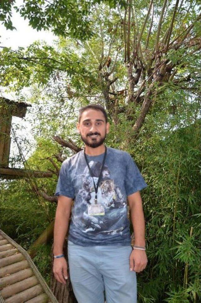 Kızıl Panda Lale,jale Ve Hale ye Eş Aranıyor 3