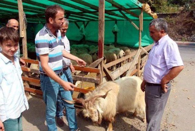 Zonguldak'ta Kurbanlık Satışları Düşük