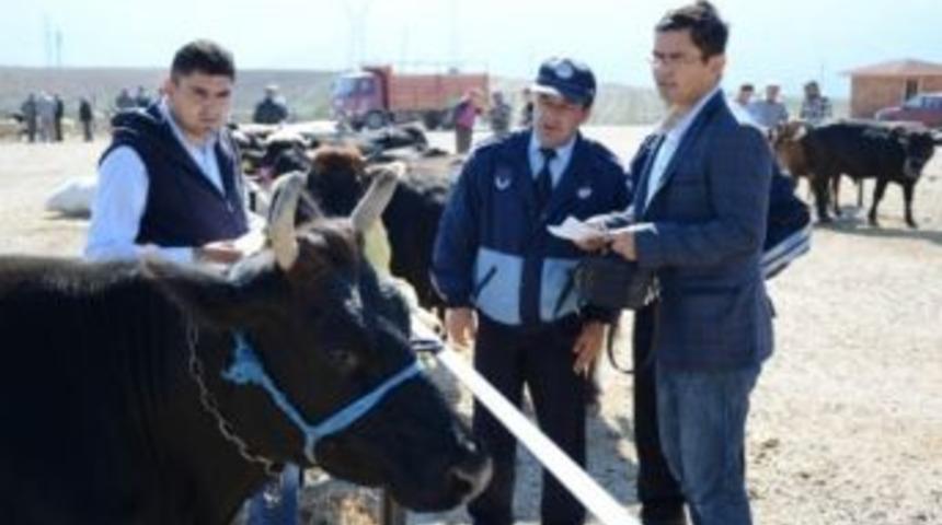 Hayvan Pazarında Denetimler Devam Ediyor