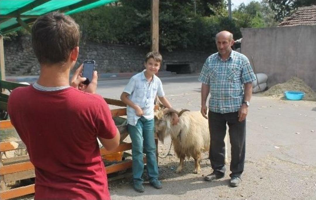 Avm&rsquo;lerde Satılan Taksitli Kurbanlıklar Esnafı Bitme Noktasına Getirdi