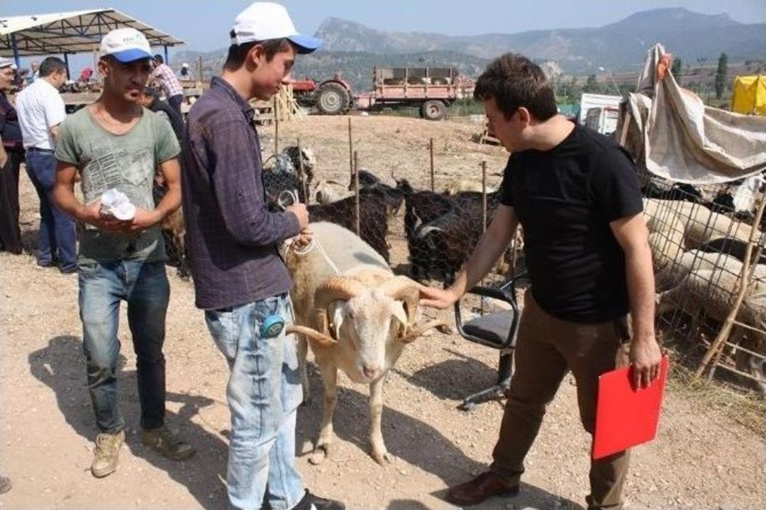 Osmaneli&rsquo;de Kurban Pazarında Denetim