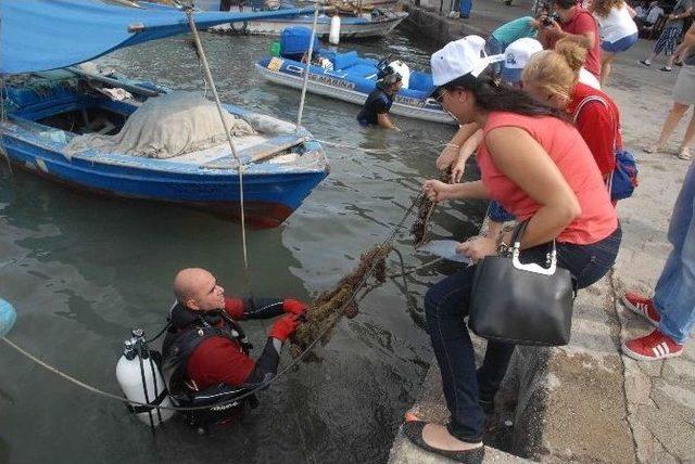 Deniz Dibinde Ne Ararsan Var