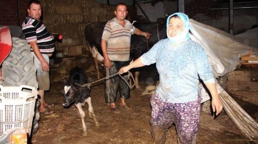 Sarıg&ouml;l&rsquo;de Sel Baskını