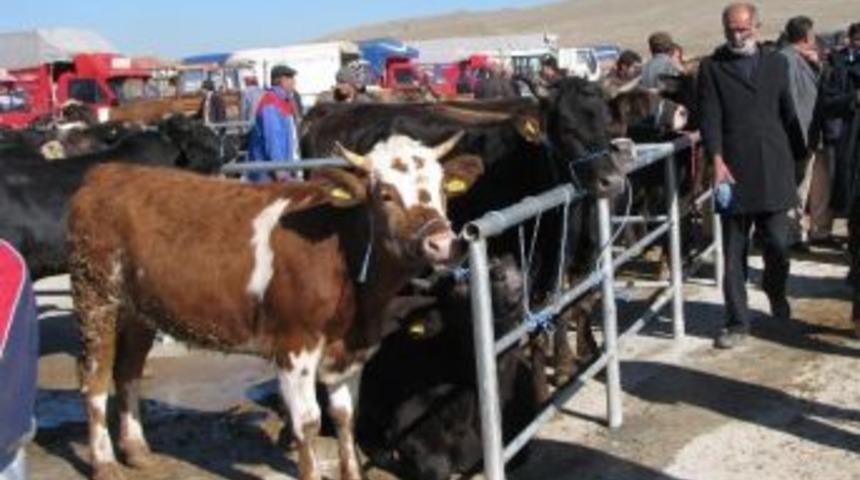 Yozgat Veteriner Hekimler Odasından &ldquo;kurban&rdquo; Uyarısı