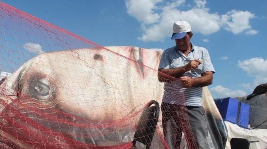 Balık&ccedil;ıların Başı Yunuslarla Dertte
