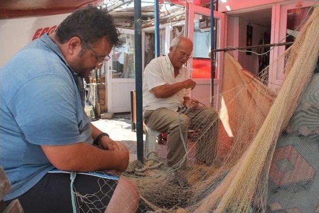 Balıkçıların Başı Yunuslarla Dertte