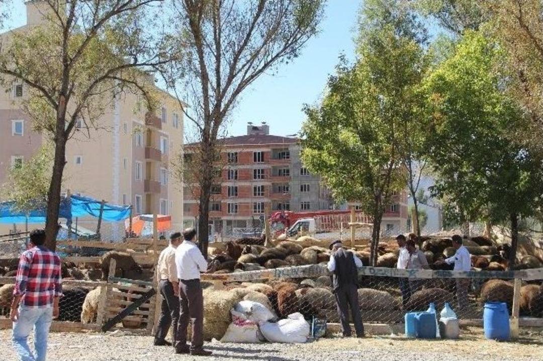 Kurbanlıklar Susuz Kaldı