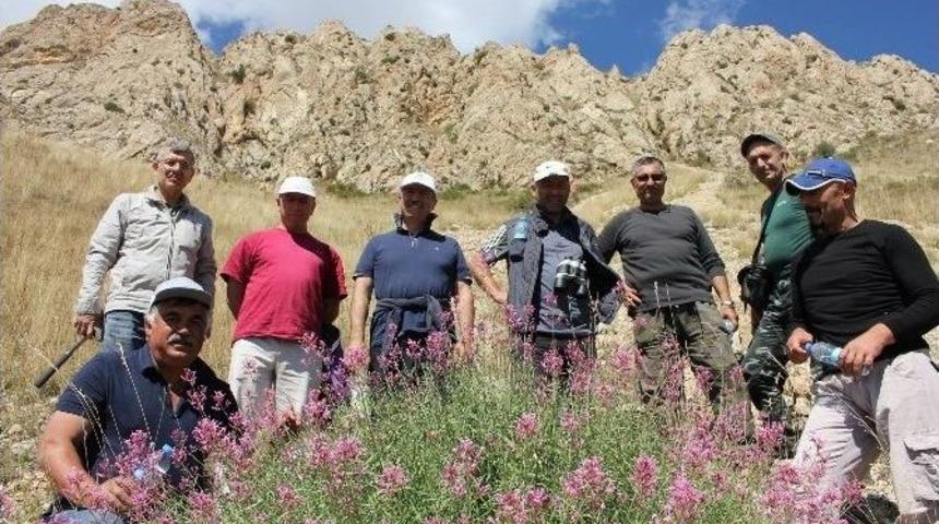Oltulu Doğa Severler Gaziler İ&ccedil;in Y&uuml;r&uuml;d&uuml;