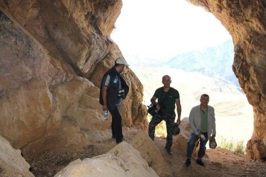 Cenıvız Mağaraları Keşfedilmeyi Bekliyorlar