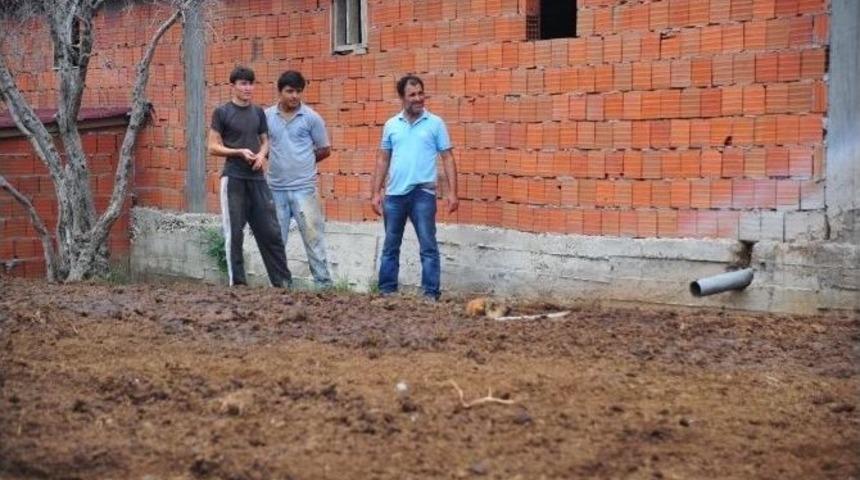 G&uuml;bre Yığınına Batan K&ouml;peği İtfaiye Kurtardı