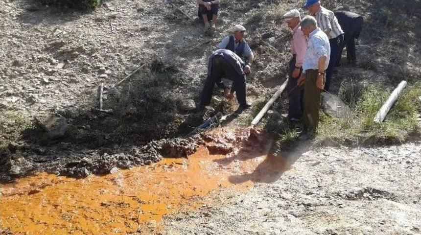 Şifalı Sıcak Su Boruları &rsquo;ardı&ccedil; Dalı&rsquo; İle Temizleniyor
