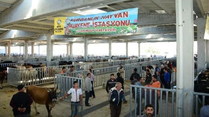 B&uuml;y&uuml;kşehir Kurban Bayramı&rsquo;na Hazır