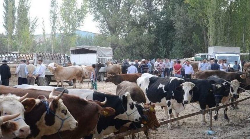 Darende Hayvan Pazarı&rsquo;nda Hareketlilik