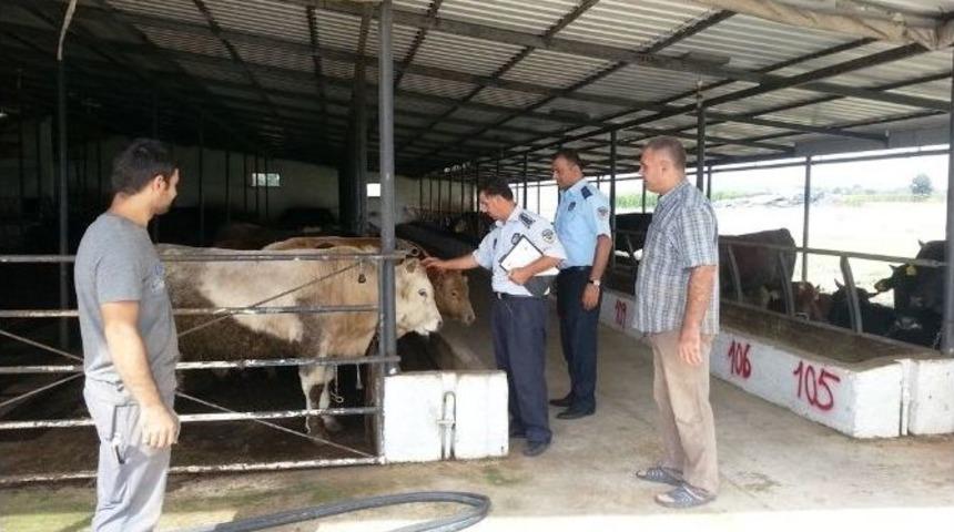 Serdivan Belediyesi Kurban Bayramına Hazır