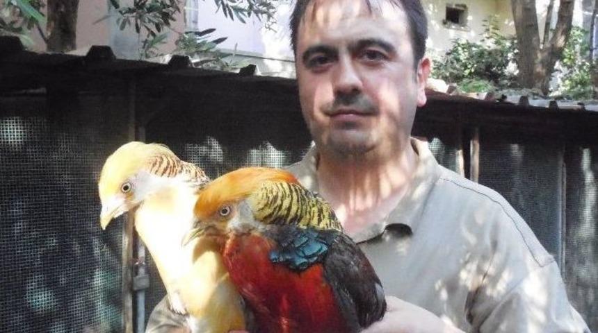 (&ouml;zel Haber) Evini Hayvanat Bah&ccedil;esine &Ccedil;evirdi