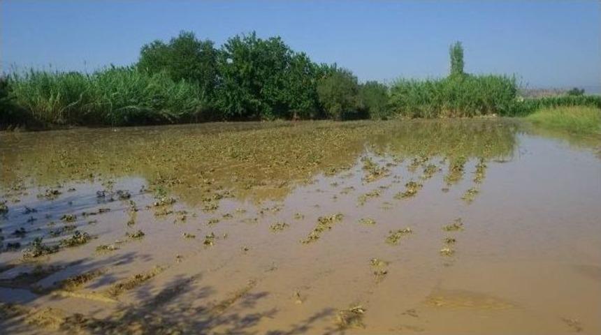 &Ouml;demiş&rsquo;te Havanın Aydınlanmasıyla Selin Boyutu Ortaya &Ccedil;ıktı