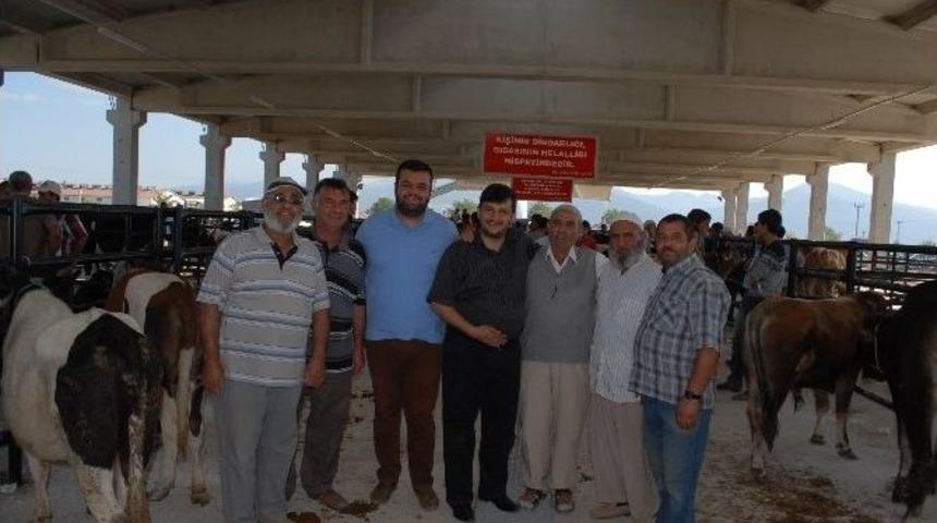 Bolvadin B&ouml;lgesel Hayvan Pazarı Hizmet Vermeye Başladı&rlm;