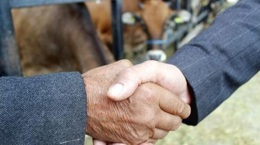 Kurbanlık Hayvanlar G&ouml;r&uuml;c&uuml;ye &Ccedil;ıktı