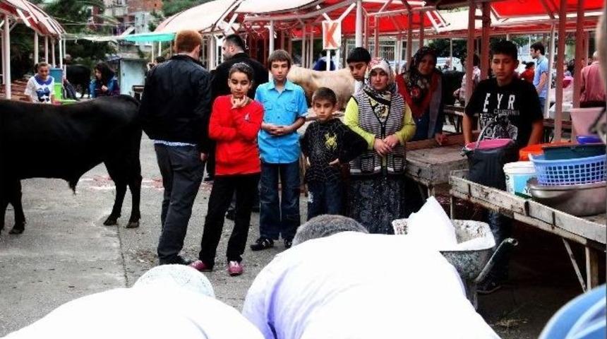 Kurban Kesimini &Ccedil;ocuklara İzletmeyin
