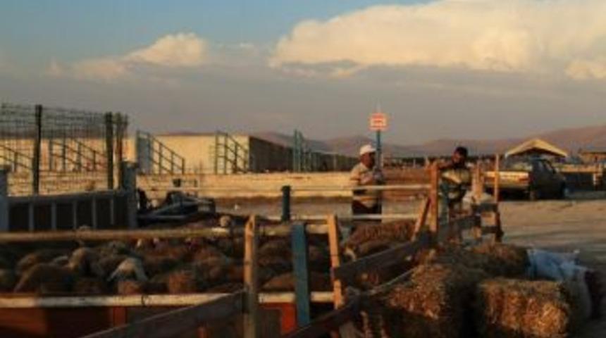 Tarım İl M&uuml;d&uuml;rl&uuml;ğ&uuml;nden Uyarı