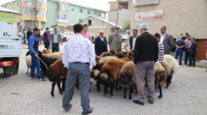 Varto&rsquo;da Kurbanlıklar G&ouml;r&uuml;c&uuml;ye &Ccedil;ıktı