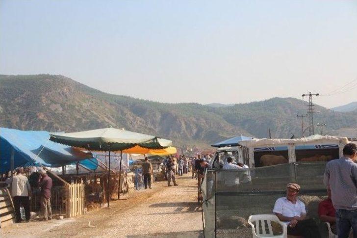 Hayvan Pazarında Ultrason Cihazı İle Gebelik Muayenesi G3