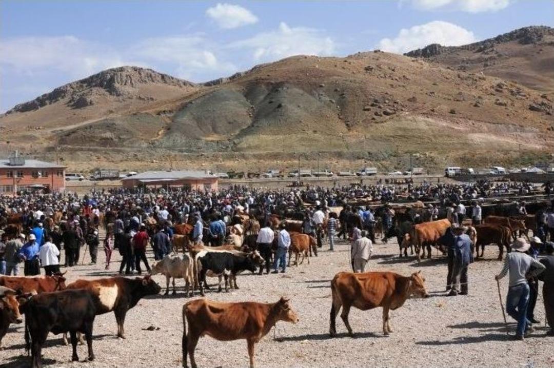 Hayvan Pazarındaki Yoğunluk Satışlara Yansımıyor