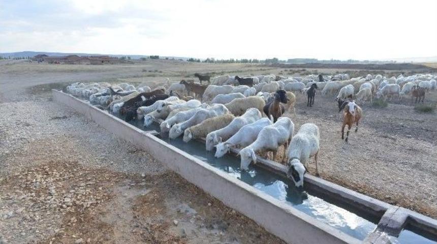 Su Sorunu Yaşayan Mahallelere G&uuml;neş Enerjisi İle &Ccedil;&ouml;z&uuml;m