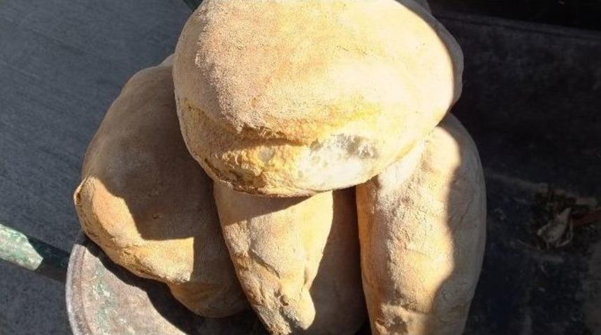 K&ouml;y Ekmeği Şehirlinin Yeni G&ouml;zdesi