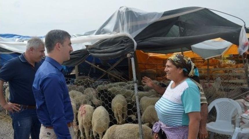 Başkan Şirin Kurban Pazarını Ziyaret Etti