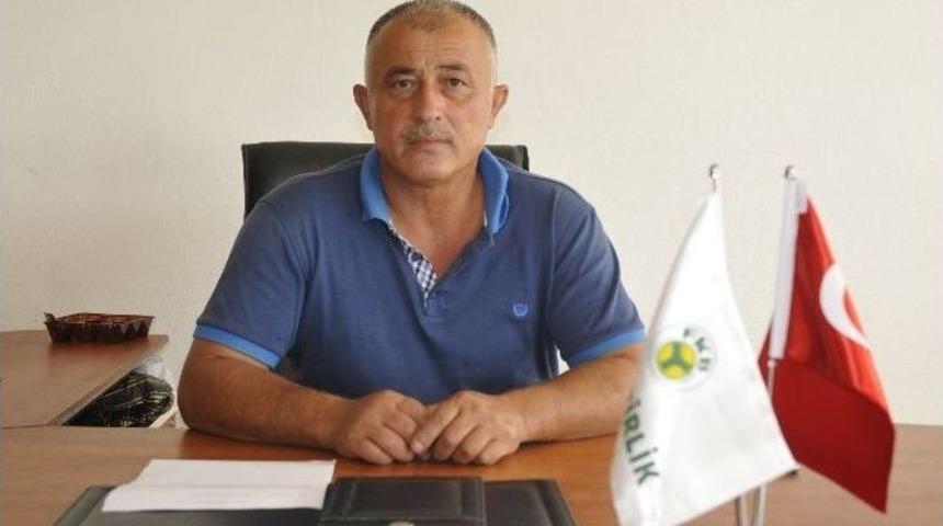 Fiskobirlik Fındık Alımına Başladı