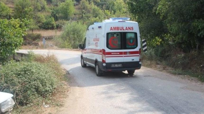 B&uuml;y&uuml;kbaş Hayvanlara Vurmamak İ&ccedil;in Kaza Yaptı