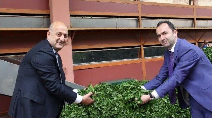 T&uuml;rkiye&rsquo;nin Yeni &Ccedil;ayı: &lsquo;butka&rsquo;