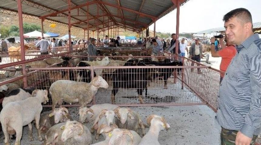 Karacabey&rsquo;de Kurbanlıklar Elde Kaldı