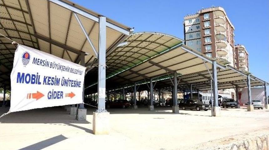 B&uuml;y&uuml;kşehir&rsquo;den 13 İl&ccedil;eye &Uuml;cretsiz Kurban Kesim &Uuml;nitesi