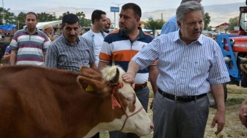 Vali Kahraman Kurban Pazarını Ziyaret Etti