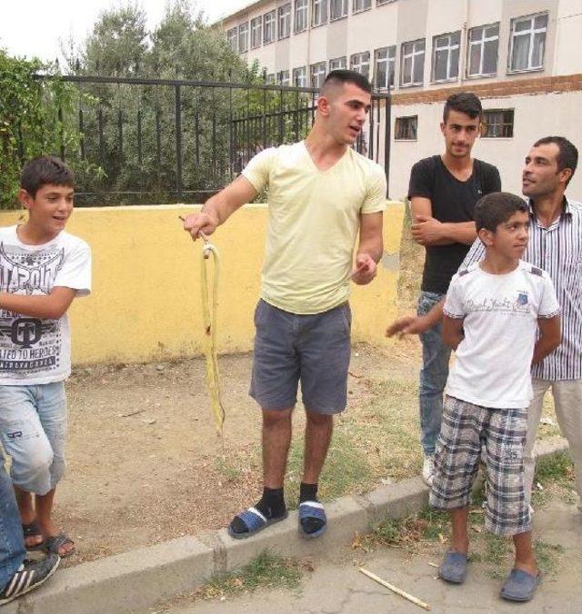 Motosiklete Giren Yılan Korkuttu 2