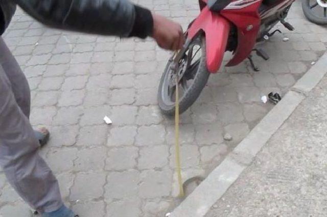 Motosiklete Giren Yılan Korkuttu 3