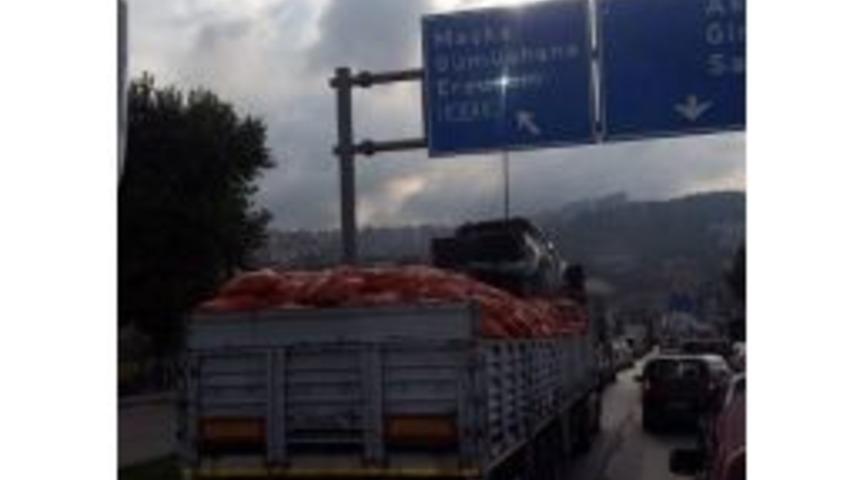 Taşımacılıkta Sınır Yok